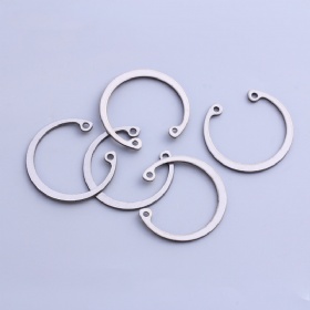 Stainless Steel Retaining Rings